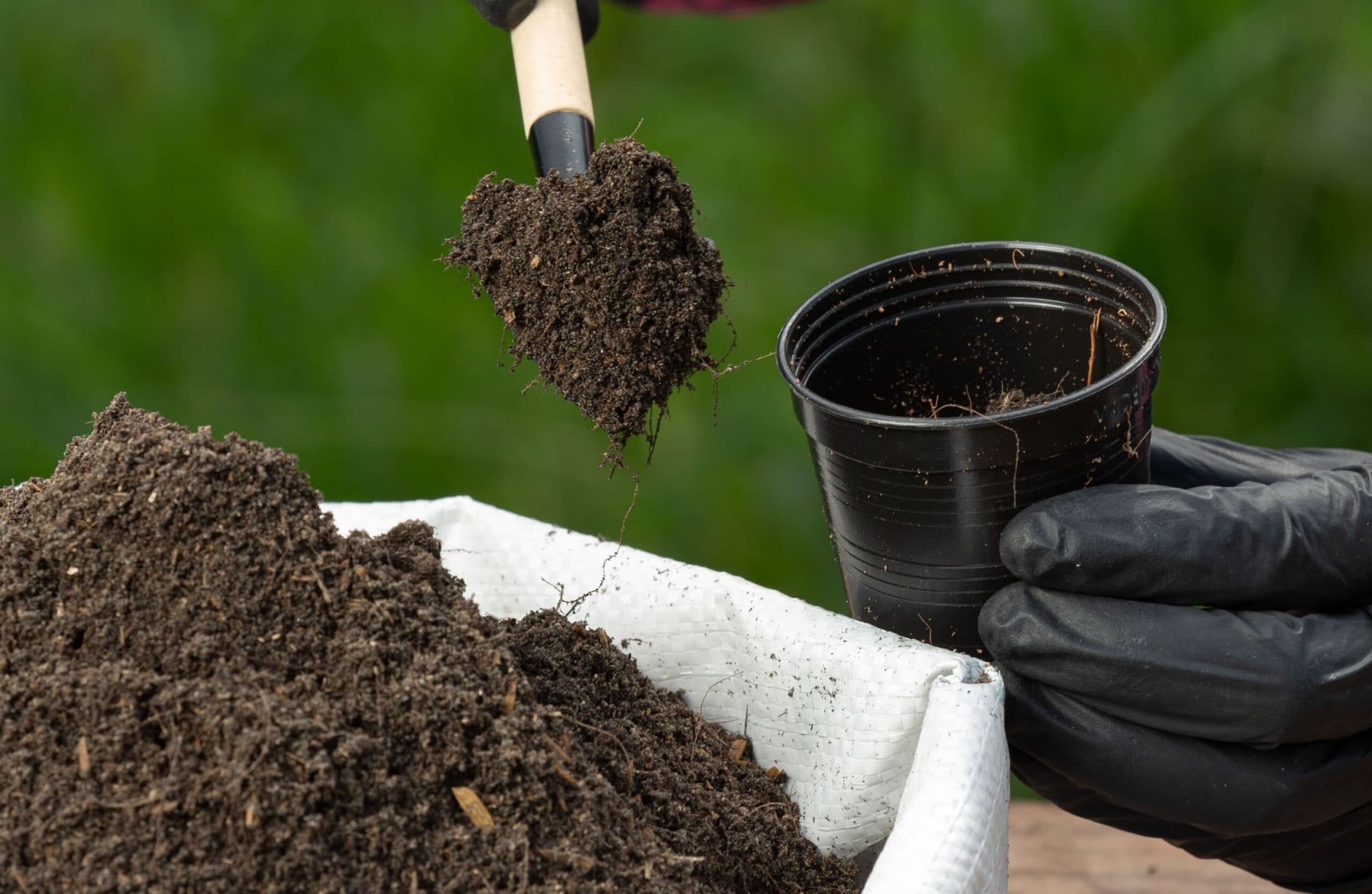 Pupuk Berkualitas untuk Hasil Panen Maksimal
