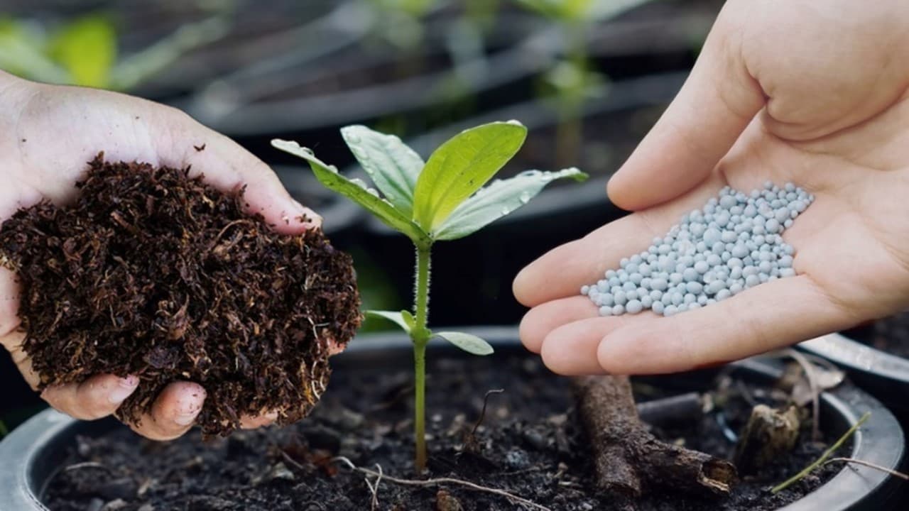 Gratis Ongkir untuk Pembelian Pertama